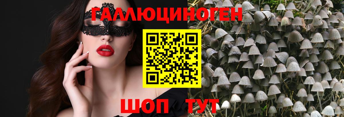 Галлюциногенные грибы Magic Shrooms  Вход с VPN  Павлово 