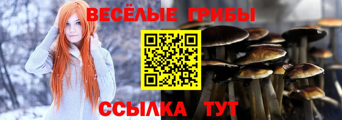 Псилоцибиновые грибы мицелий Павлово
