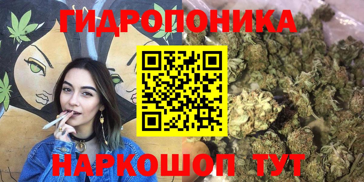 Канабис гибрид Павлово